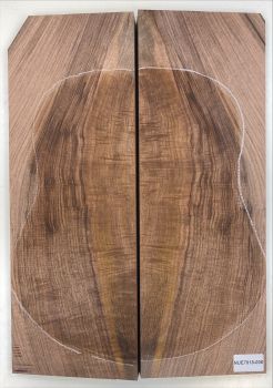 Back & Sides Walnut, European Archtop Unique Piece #008